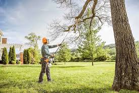 Best Tree Risk Assessment  in White Oak, MD